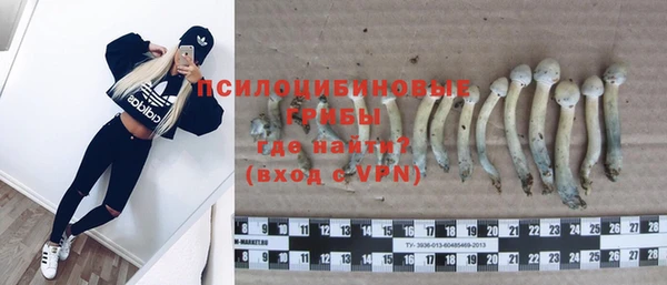 стаф Балабаново