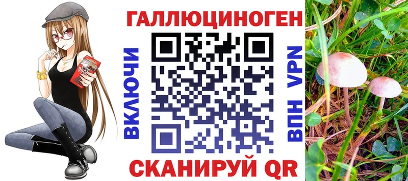 Псилоцибиновые грибы Cubensis Макарьев