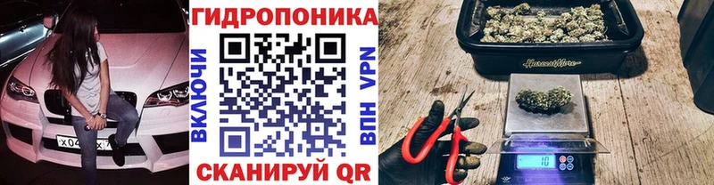 мега как войти  Макарьев  Бошки Шишки SATIVA & INDICA 